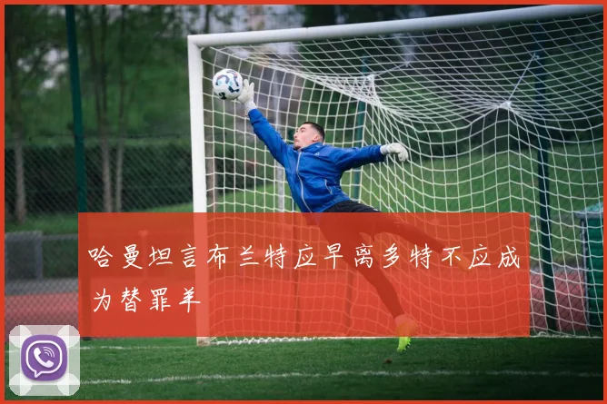 哈曼坦言布兰特应早离多特不应成为替罪羊